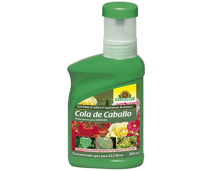 Cola de caballo, una sustancia básica de acción fungicida 